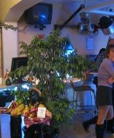 Gluhweinparty-2010---11.jpg